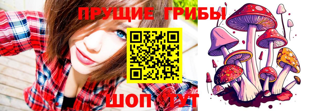 Тара  Галлюциногенные грибы прущие грибы  Вход с VPN 