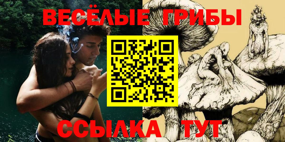 Галлюциногенные грибы MAGIC MUSHROOMS Тара